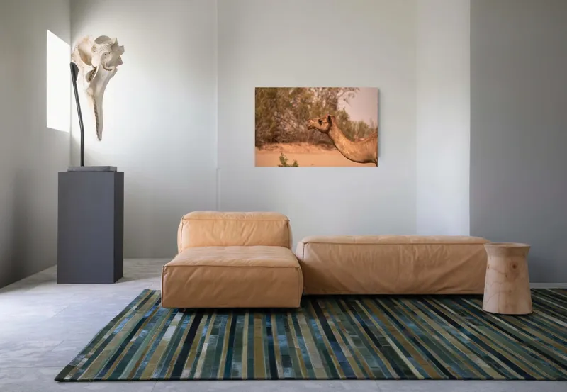 Tablou Canvas, "Cămila în deșertul arid al-amiezii", 90 x 50 cm – poza 8