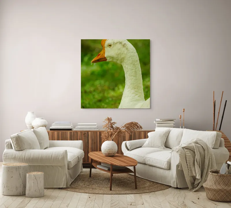 Tablou Canvas, "Gâsca privind orizontul verde viu", Pana, Portocaliu, Ochi, Verde, Iarba, 100 x 100 cm – poza 3