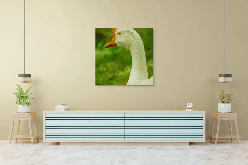 Tablou Canvas, "Gâsca privind orizontul verde viu", Pana, Portocaliu, Ochi, Verde, Iarba, 100 x 100 cm – poza 5