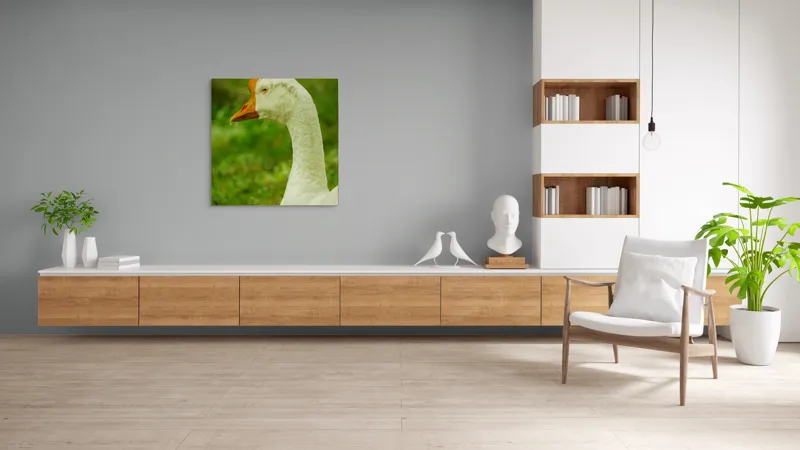 Tablou Canvas, "Gâsca privind orizontul verde viu", Pana, Portocaliu, Ochi, Verde, Iarba, 100 x 100 cm – poza 8
