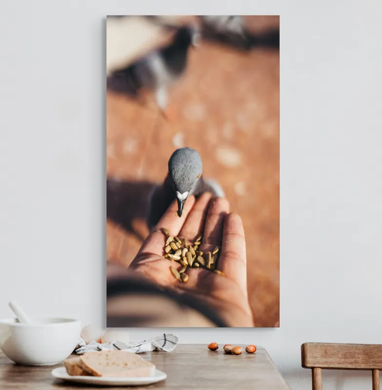 Tablou Canvas, "Porumbel hrănit din palmă zboară liber", Dove, Palms, Feeding, Gentle, Close-up, Interaction, Nature, Moment, 50 x 90 cm – poza 3