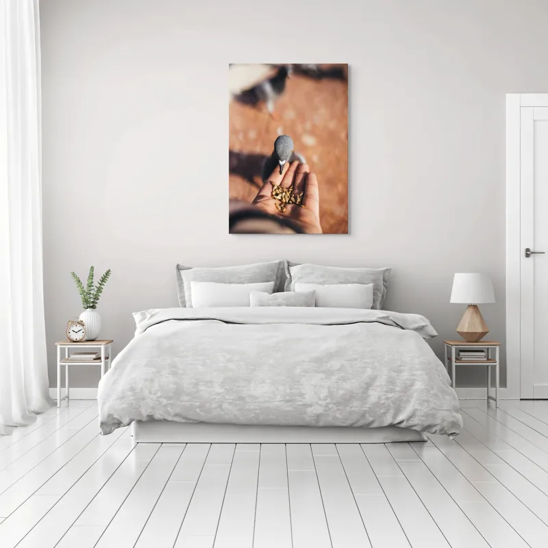 Tablou Canvas, "Porumbel hrănit din palmă zboară liber", Dove, Palms, Feeding, Gentle, Close-up, Interaction, Nature, Moment, 70 x 100 cm – poza 3