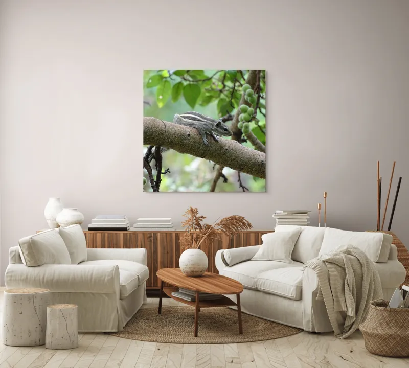Tablou Canvas, "Veveriță odihnindu-se pe creangă verde", Veveriță, Crenguță, Frunze, Muguri, Natură, Copac, Relaxare, Verde, Linie, Viață, 100 x 100 cm – poza 3