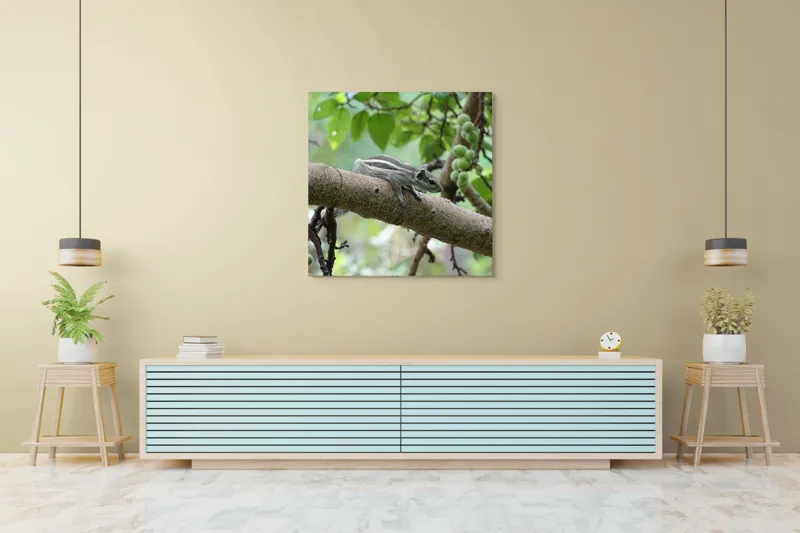 Tablou Canvas, "Veveriță odihnindu-se pe creangă verde", Veveriță, Crenguță, Frunze, Muguri, Natură, Copac, Relaxare, Verde, Linie, Viață, 100 x 100 cm – poza 5
