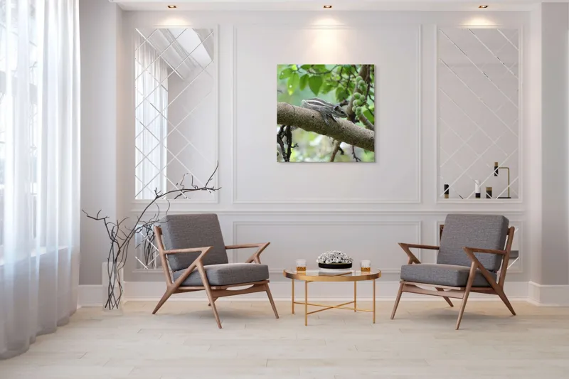 Tablou Canvas, "Veveriță odihnindu-se pe creangă verde", Veveriță, Crenguță, Frunze, Muguri, Natură, Copac, Relaxare, Verde, Linie, Viață, 100 x 100 cm – poza 7