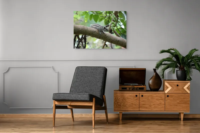Tablou Canvas, "Veveriță odihnindu-se pe creangă verde", Veveriță, Crenguță, Frunze, Muguri, Natură, Copac, Relaxare, Verde, Linie, Viață, 100 x 70 cm – poza 8