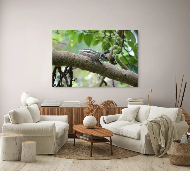 Tablou Canvas, "Veveriță odihnindu-se pe creangă verde", Veveriță, Crenguță, Frunze, Muguri, Natură, Copac, Relaxare, Verde, Linie, Viață, 150 x 100 cm – poza 3