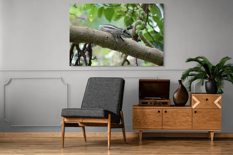Tablou Canvas, "Veveriță odihnindu-se pe creangă verde", Veveriță, Crenguță, Frunze, Muguri, Natură, Copac, Relaxare, Verde, Linie, Viață, 150 x 100 cm – poza 8