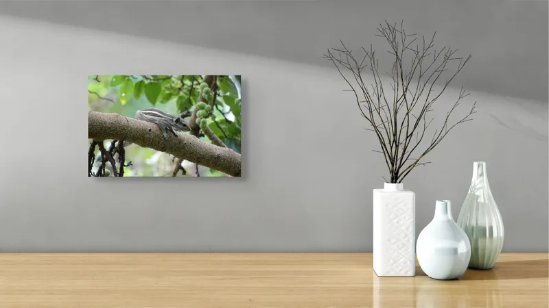 Tablou Canvas, "Veveriță odihnindu-se pe creangă verde", Veveriță, Crenguță, Frunze, Muguri, Natură, Copac, Relaxare, Verde, Linie, Viață, 39 x 26 cm – poza 8
