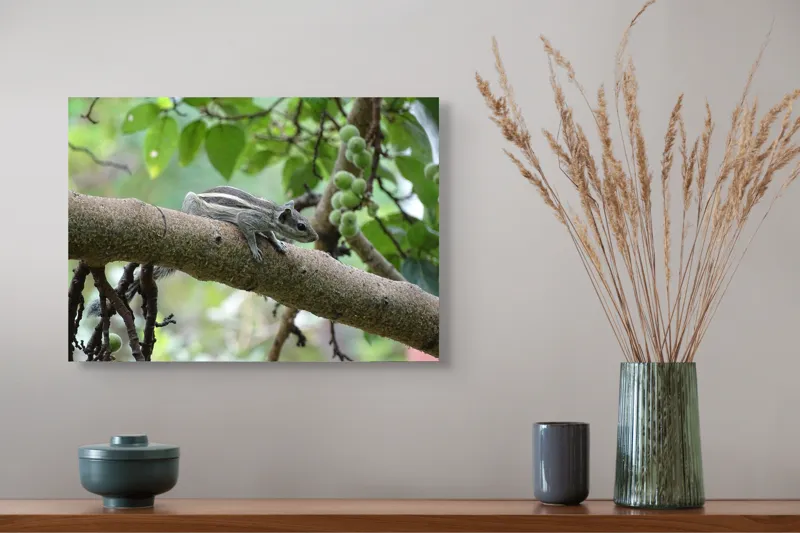 Tablou Canvas, "Veveriță odihnindu-se pe creangă verde", Veveriță, Crenguță, Frunze, Muguri, Natură, Copac, Relaxare, Verde, Linie, Viață, 54 x 39 cm – poza 4