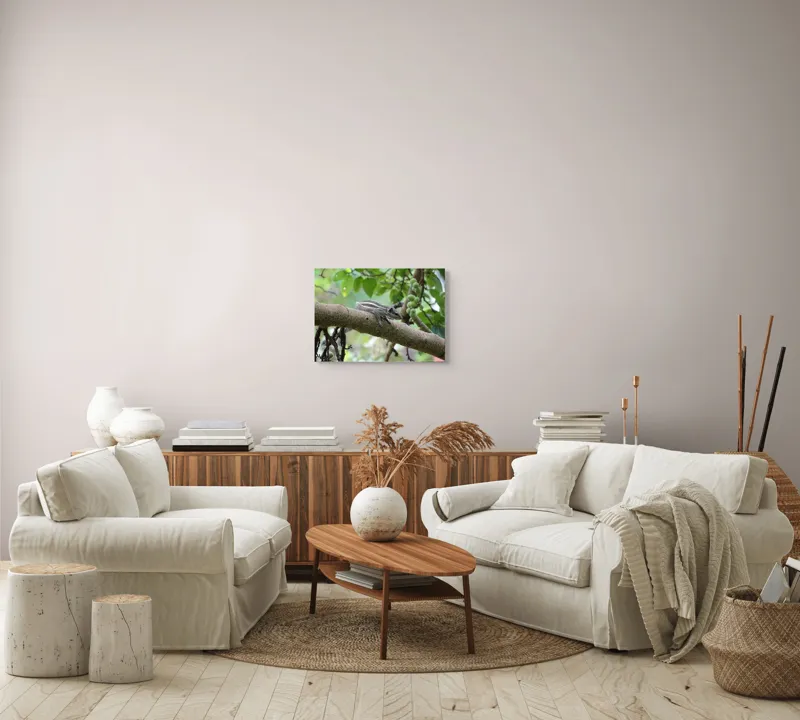 Tablou Canvas, "Veveriță odihnindu-se pe creangă verde", Veveriță, Crenguță, Frunze, Muguri, Natură, Copac, Relaxare, Verde, Linie, Viață, 54 x 39 cm – poza 5