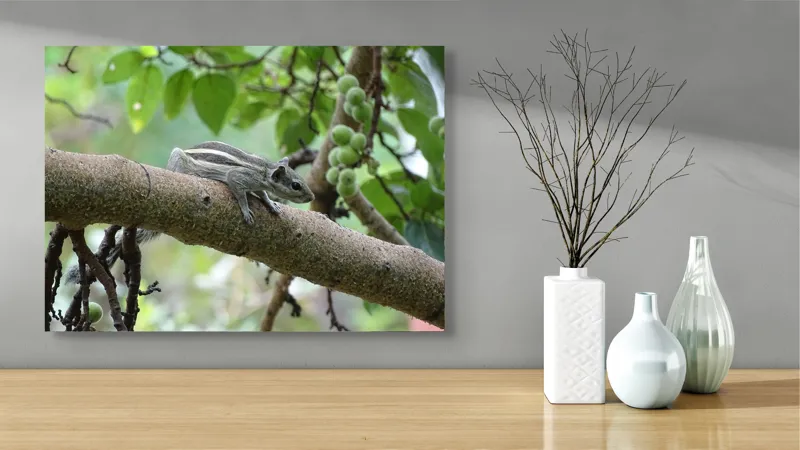 Tablou Canvas, "Veveriță odihnindu-se pe creangă verde", Veveriță, Crenguță, Frunze, Muguri, Natură, Copac, Relaxare, Verde, Linie, Viață, 70 x 50 cm – poza 3