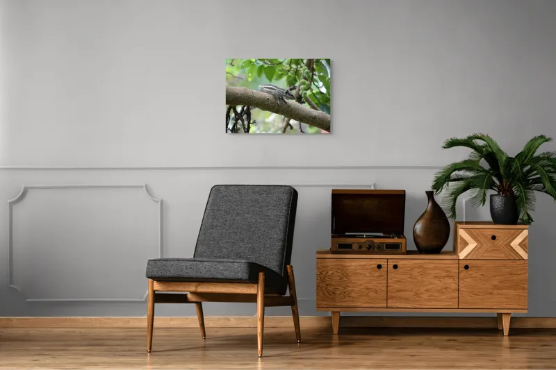 Tablou Canvas, "Veveriță odihnindu-se pe creangă verde", Veveriță, Crenguță, Frunze, Muguri, Natură, Copac, Relaxare, Verde, Linie, Viață, 70 x 50 cm – poza 4