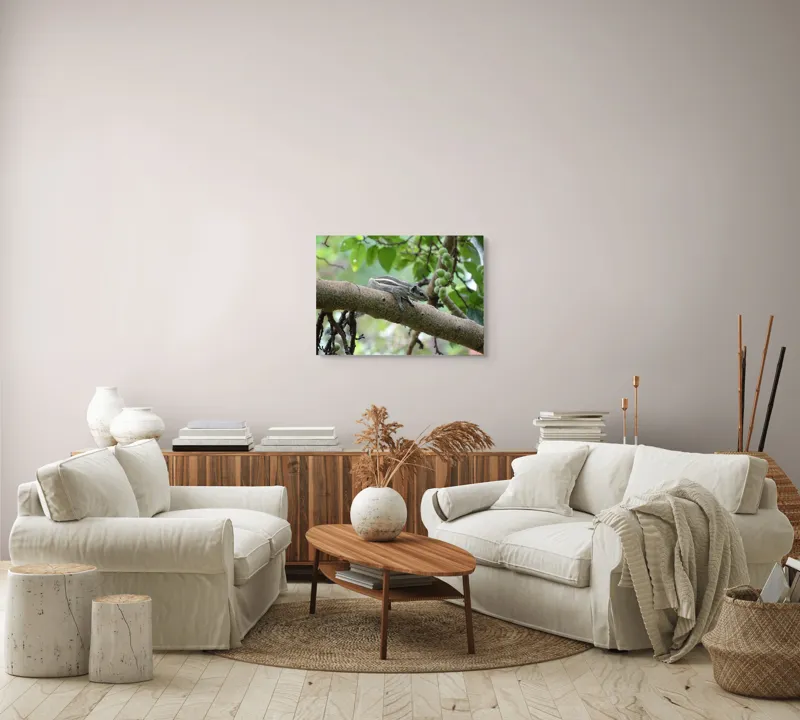 Tablou Canvas, "Veveriță odihnindu-se pe creangă verde", Veveriță, Crenguță, Frunze, Muguri, Natură, Copac, Relaxare, Verde, Linie, Viață, 70 x 50 cm – poza 6