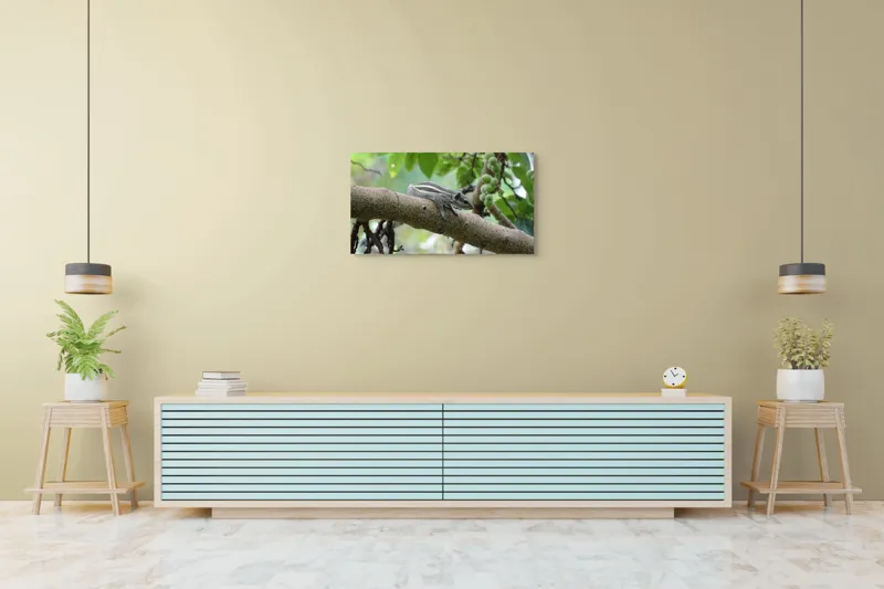 Tablou Canvas, "Veveriță odihnindu-se pe creangă verde", Veveriță, Crenguță, Frunze, Muguri, Natură, Copac, Relaxare, Verde, Linie, Viață, 90 x 50 cm – poza 5