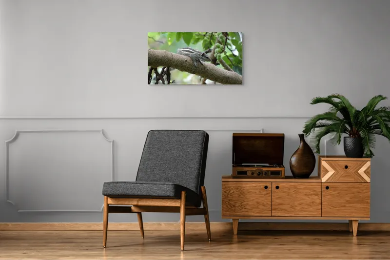 Tablou Canvas, "Veveriță odihnindu-se pe creangă verde", Veveriță, Crenguță, Frunze, Muguri, Natură, Copac, Relaxare, Verde, Linie, Viață, 90 x 50 cm – poza 6
