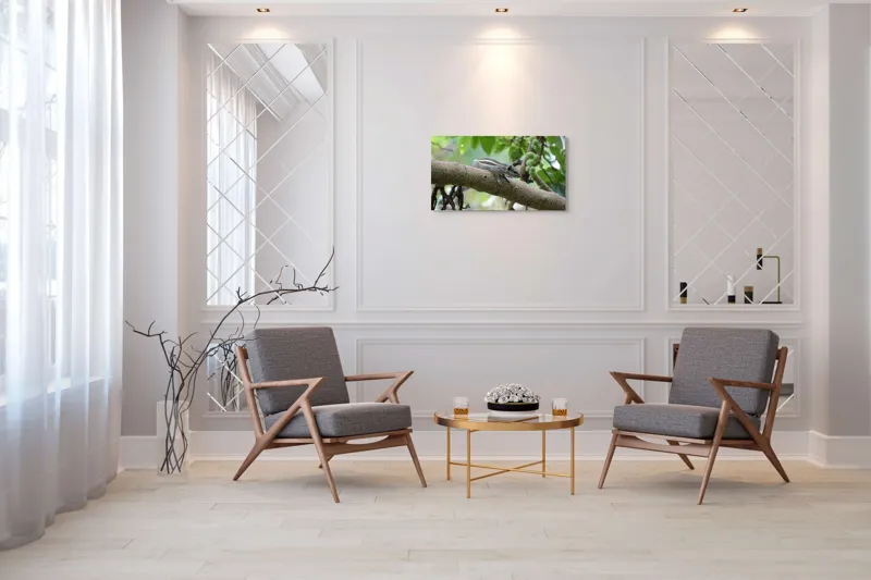 Tablou Canvas, "Veveriță odihnindu-se pe creangă verde", Veveriță, Crenguță, Frunze, Muguri, Natură, Copac, Relaxare, Verde, Linie, Viață, 90 x 50 cm – poza 7