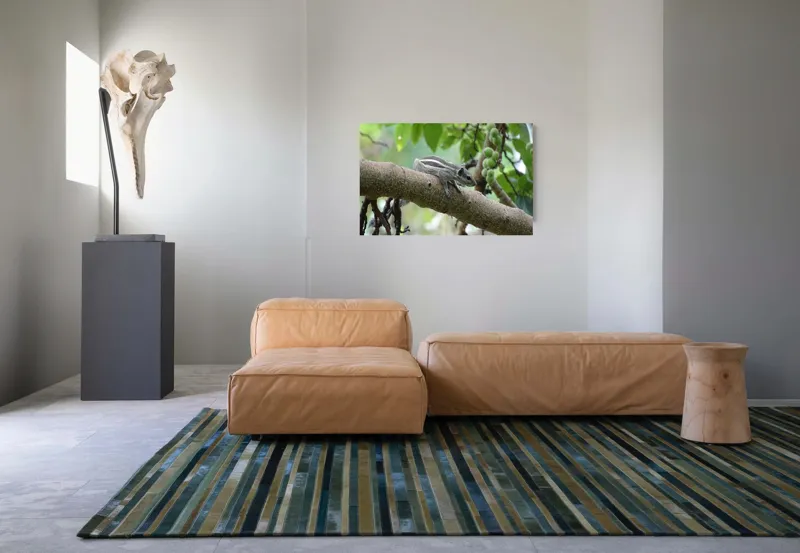 Tablou Canvas, "Veveriță odihnindu-se pe creangă verde", Veveriță, Crenguță, Frunze, Muguri, Natură, Copac, Relaxare, Verde, Linie, Viață, 90 x 50 cm – poza 8