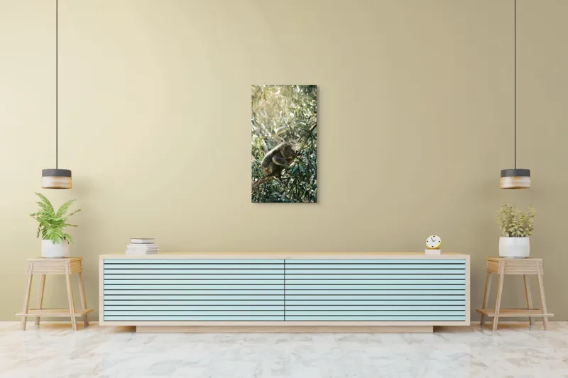 Tablou Canvas, "Koala odihnindu-se în lumina soarelui", Koala, Eucalipt, Odihnă, Frunze, Lumină, Natură, Ramură, Verdeață, 50 x 90 cm – poza 6