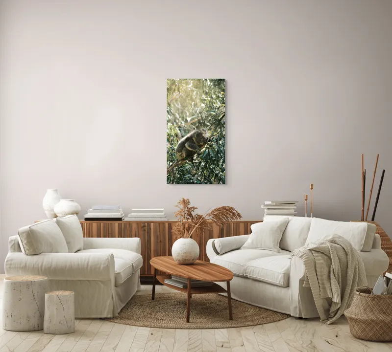 Tablou Canvas, "Koala odihnindu-se în lumina soarelui", Koala, Eucalipt, Odihnă, Frunze, Lumină, Natură, Ramură, Verdeață, 50 x 90 cm – poza 7