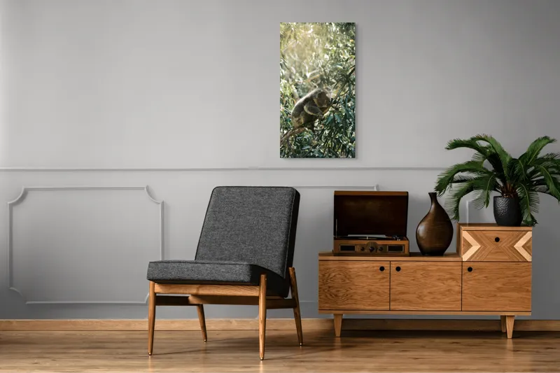 Tablou Canvas, "Koala odihnindu-se în lumina soarelui", Koala, Eucalipt, Odihnă, Frunze, Lumină, Natură, Ramură, Verdeață, 50 x 90 cm – poza 8