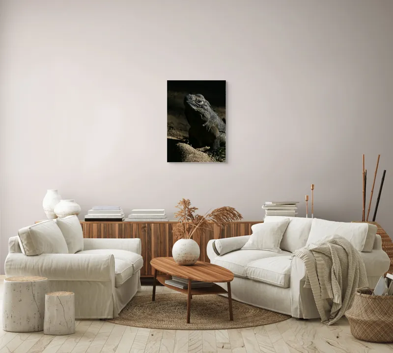 Tablou Canvas, "Iguana în lumina misterioasă a apusului", Întuneric, Umbră, Iguana, Textură, Piele, Rocă, Privire, Detaliu, Sol, Contrast, Lumină, 50 x 70 cm – poza 4