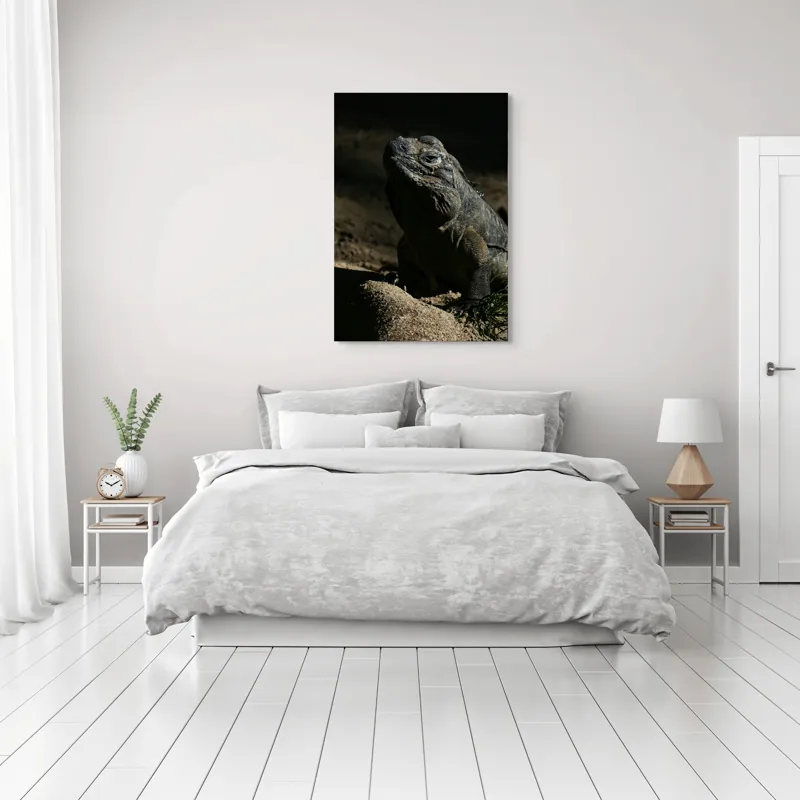 Tablou Canvas, "Iguana în lumina misterioasă a apusului", Întuneric, Umbră, Iguana, Textură, Piele, Rocă, Privire, Detaliu, Sol, Contrast, Lumină, 70 x 100 cm – poza 3