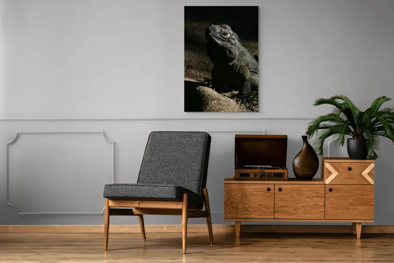 Tablou Canvas, "Iguana în lumina misterioasă a apusului", Întuneric, Umbră, Iguana, Textură, Piele, Rocă, Privire, Detaliu, Sol, Contrast, Lumină, 70 x 100 cm – poza 6