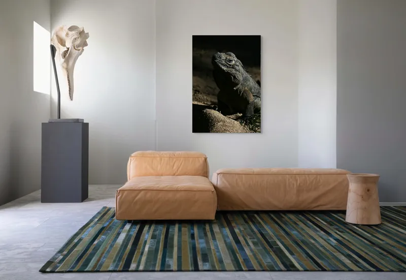 Tablou Canvas, "Iguana în lumina misterioasă a apusului", Întuneric, Umbră, Iguana, Textură, Piele, Rocă, Privire, Detaliu, Sol, Contrast, Lumină, 70 x 100 cm – poza 7