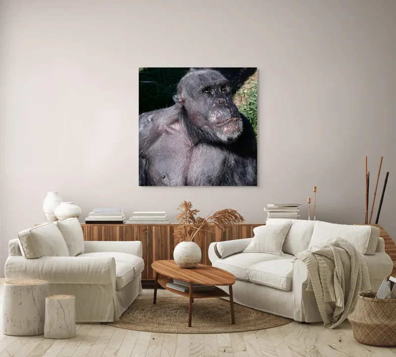 Tablou Canvas, 100 x 100 cm – poza 3