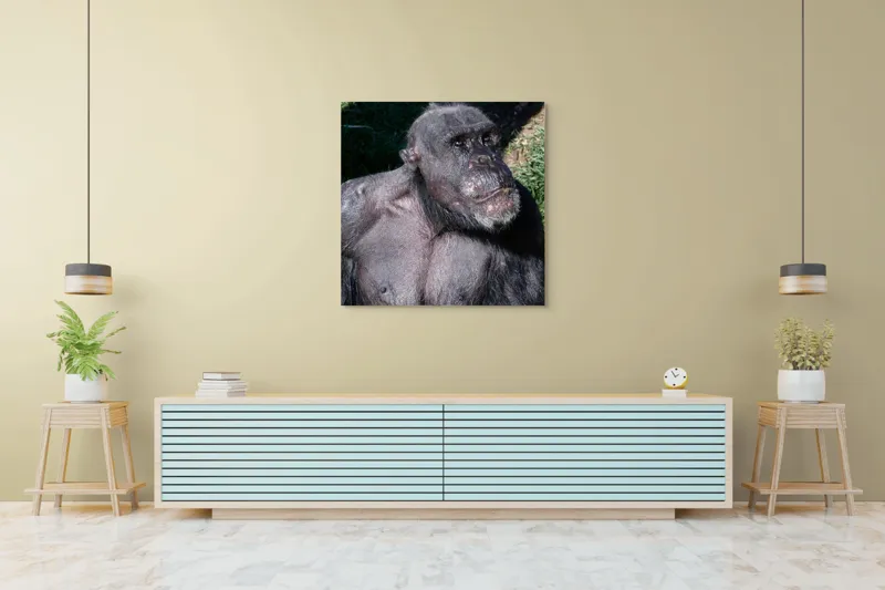Tablou Canvas, 100 x 100 cm – poza 5