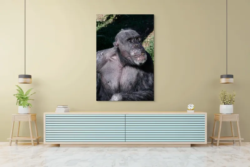 Tablou Canvas, 100 x 150 cm – poza 4