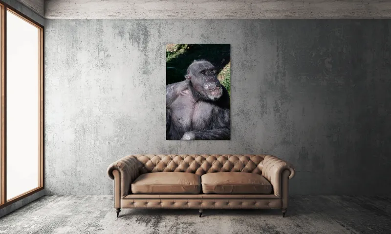 Tablou Canvas, 100 x 150 cm – poza 6