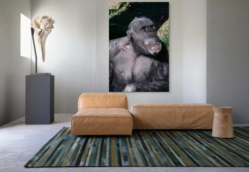 Tablou Canvas, 100 x 150 cm – poza 7