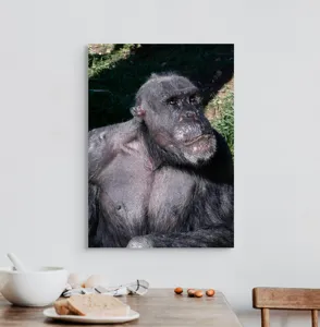 Tablou Canvas, 50 x 70 cm – poza 3