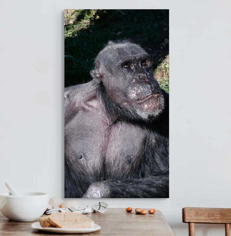 Tablou Canvas, 50 x 90 cm – poza 3