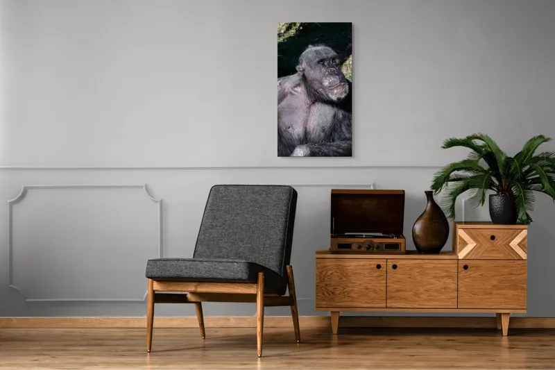 Tablou Canvas, 50 x 90 cm – poza 8