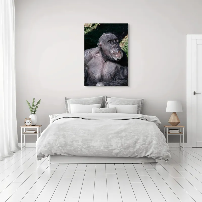Tablou Canvas, 70 x 100 cm – poza 3