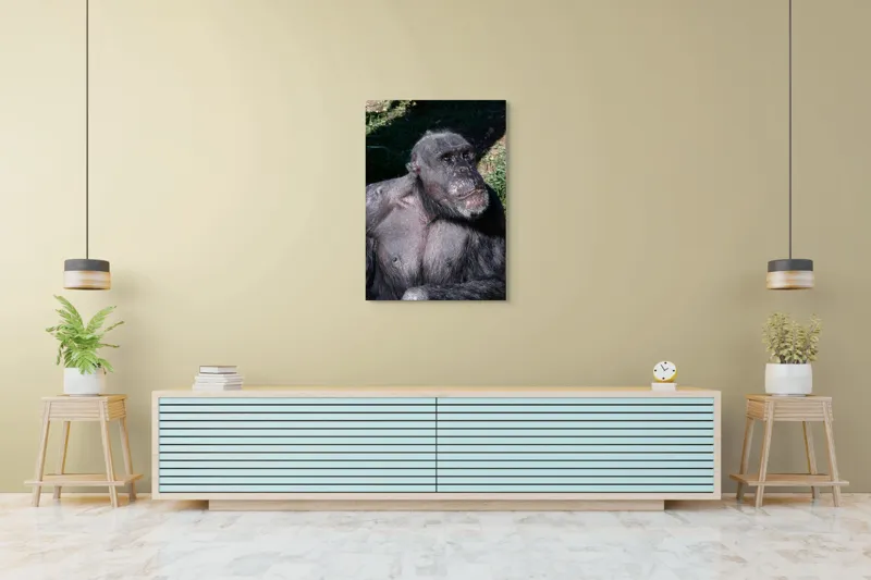Tablou Canvas, 70 x 100 cm – poza 5