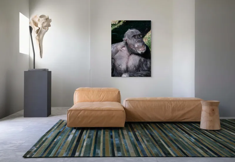 Tablou Canvas, 70 x 100 cm – poza 7