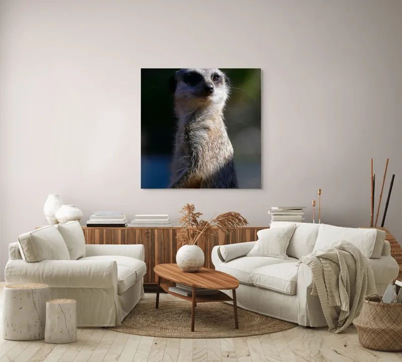 Tablou Canvas, "Suricata în lumina dimineții", 100 x 100 cm – poza 3