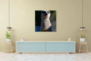Tablou Canvas, "Suricata în lumina dimineții", 100 x 100 cm – poza 5
