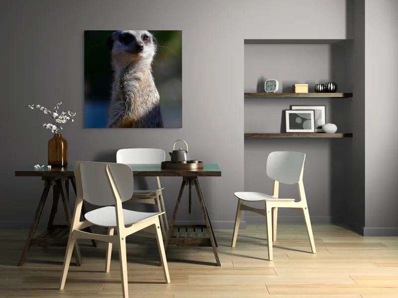 Tablou Canvas, "Suricata în lumina dimineții", 100 x 100 cm – poza 6