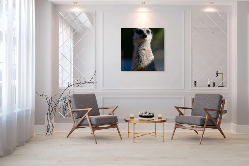 Tablou Canvas, "Suricata în lumina dimineții", 100 x 100 cm – poza 7