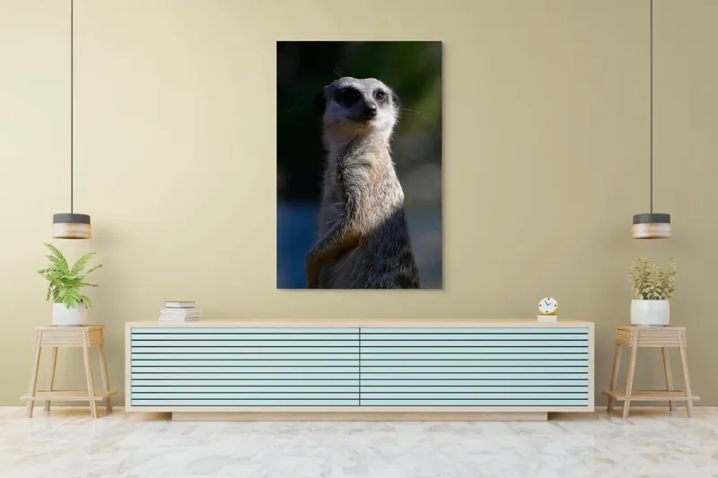 Tablou Canvas, "Suricata în lumina dimineții", 100 x 150 cm – poza 4