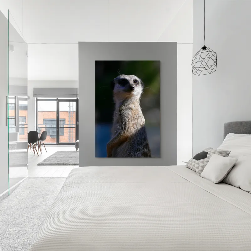 Tablou Canvas, "Suricata în lumina dimineții", 100 x 150 cm – poza 5