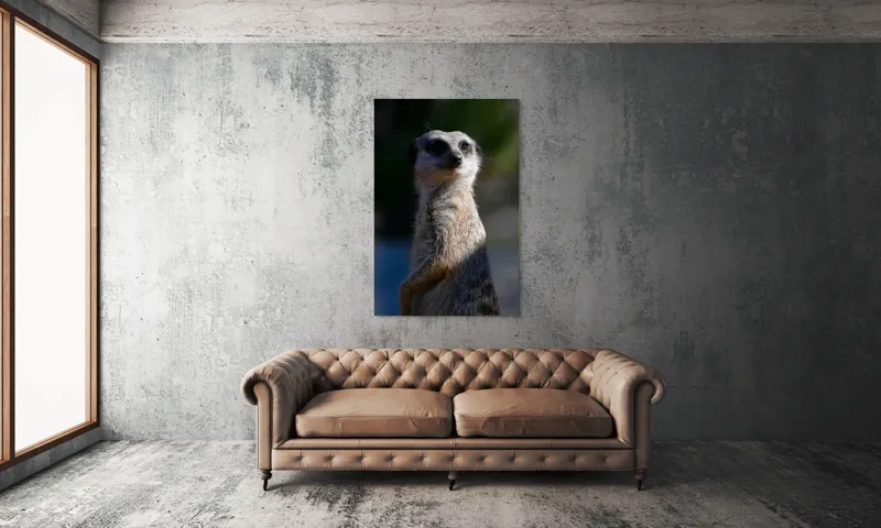 Tablou Canvas, "Suricata în lumina dimineții", 100 x 150 cm – poza 6