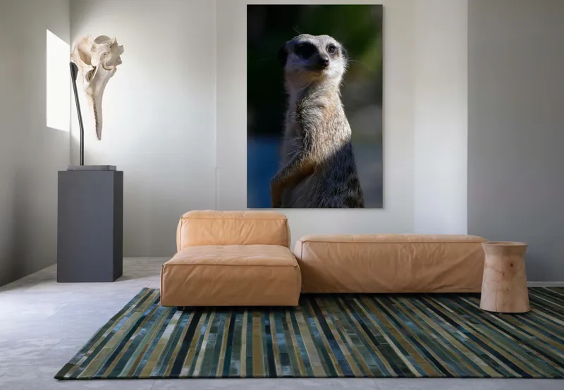 Tablou Canvas, "Suricata în lumina dimineții", 100 x 150 cm – poza 7