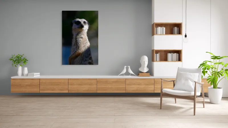 Tablou Canvas, "Suricata în lumina dimineții", 100 x 150 cm – poza 8