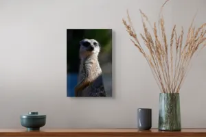 Tablou Canvas, "Suricata în lumina dimineții", 26 x 39 cm – poza 5